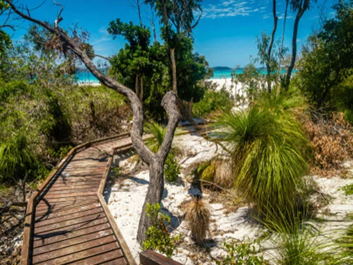 Whitehaven Beach