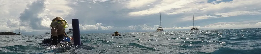 People floating in snorkeling gear with boats in the background