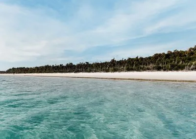 View of the water, shoreline and trees